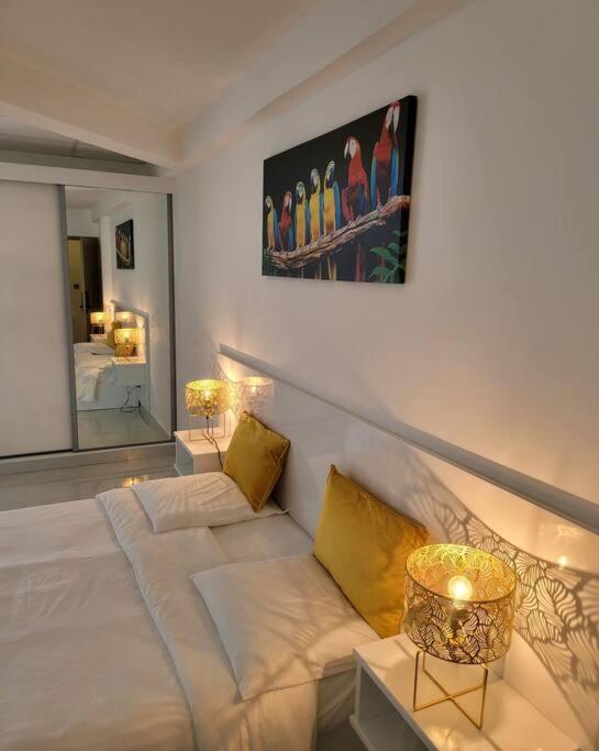 Apartmán Hello Guyane Cayenne Exteriér fotografie